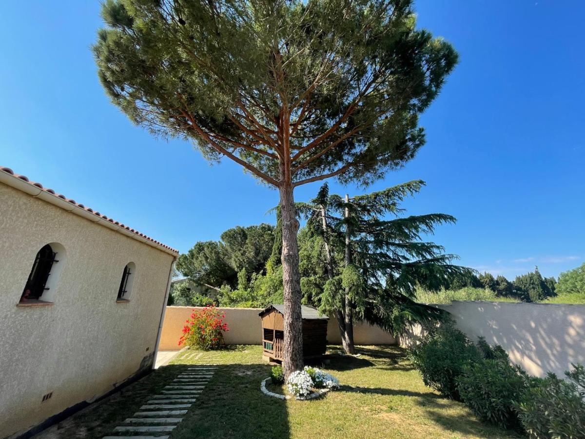 Annexe Des Pins - Studio Gite Avec Piscine & Climatisation Villeneuve-les-Beziers Luaran gambar